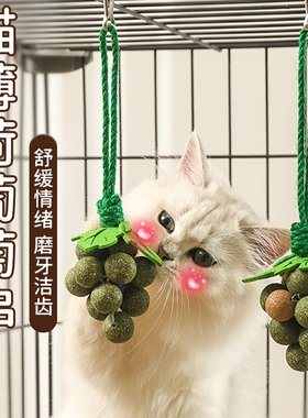 可食用猫薄荷球磨牙棒高纯度猫草球舔舔球挂笼悬挂猫玩具猫咪用品