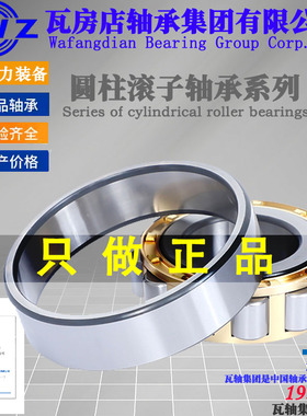 ZWZ瓦房店圆柱滚子轴承N236EM/N240EM/N244EM/N307EMC3C4机械大全