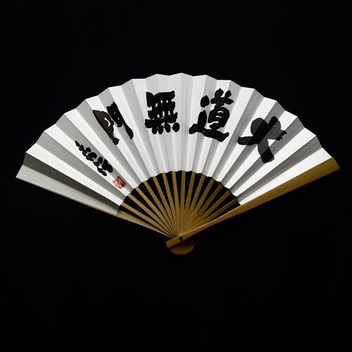 日本进口 围棋折扇  日本棋院直购   北京现货 绝非仿造