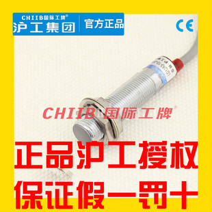 DZ交直流通用二线常开常闭EDZ 沪工干簧管磁性开关LG12A3