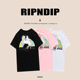 ripndip夏季 MUST 欧美正品 NICE贱猫彩虹白马印花短袖 男女t恤潮