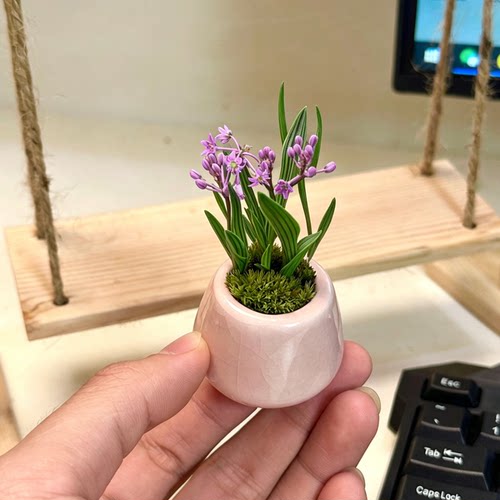 オイルポイント日本兰草室内新品