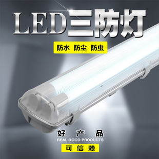 三防灯LED双管T8日光灯全套防水防尘40W带罩车间灯管防爆荧光灯架