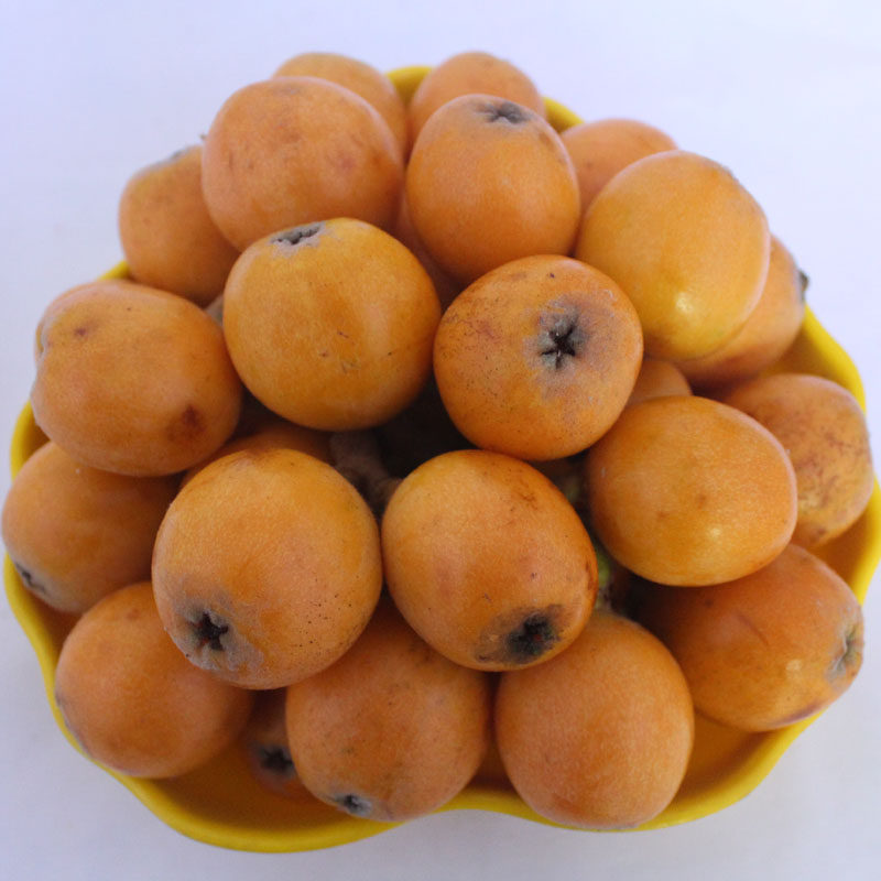 新鲜水果枇杷果大红袍5斤 江浙沪皖顺丰包邮 塘栖枇杷胜蒙自枇杷