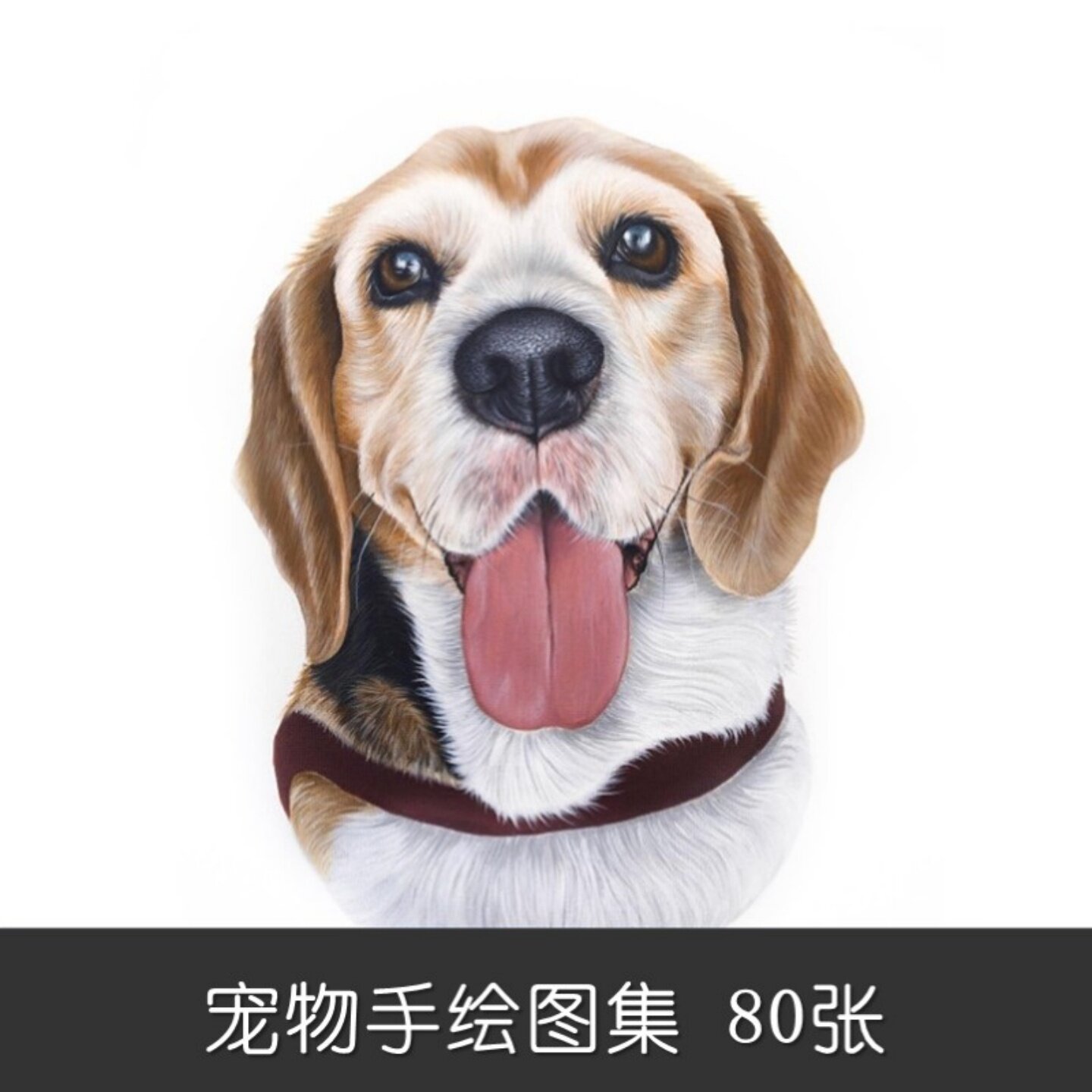 m504头像定制个性化宠物手绘设计素材照片艺术狗狗彩铅丙烯临摹图