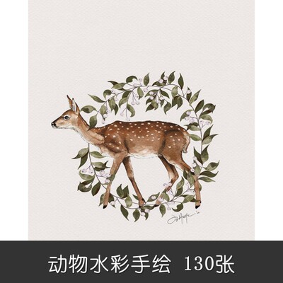 m111手绘装饰130张设计素材动物水彩鹿图案绿色叶子精选临摹图