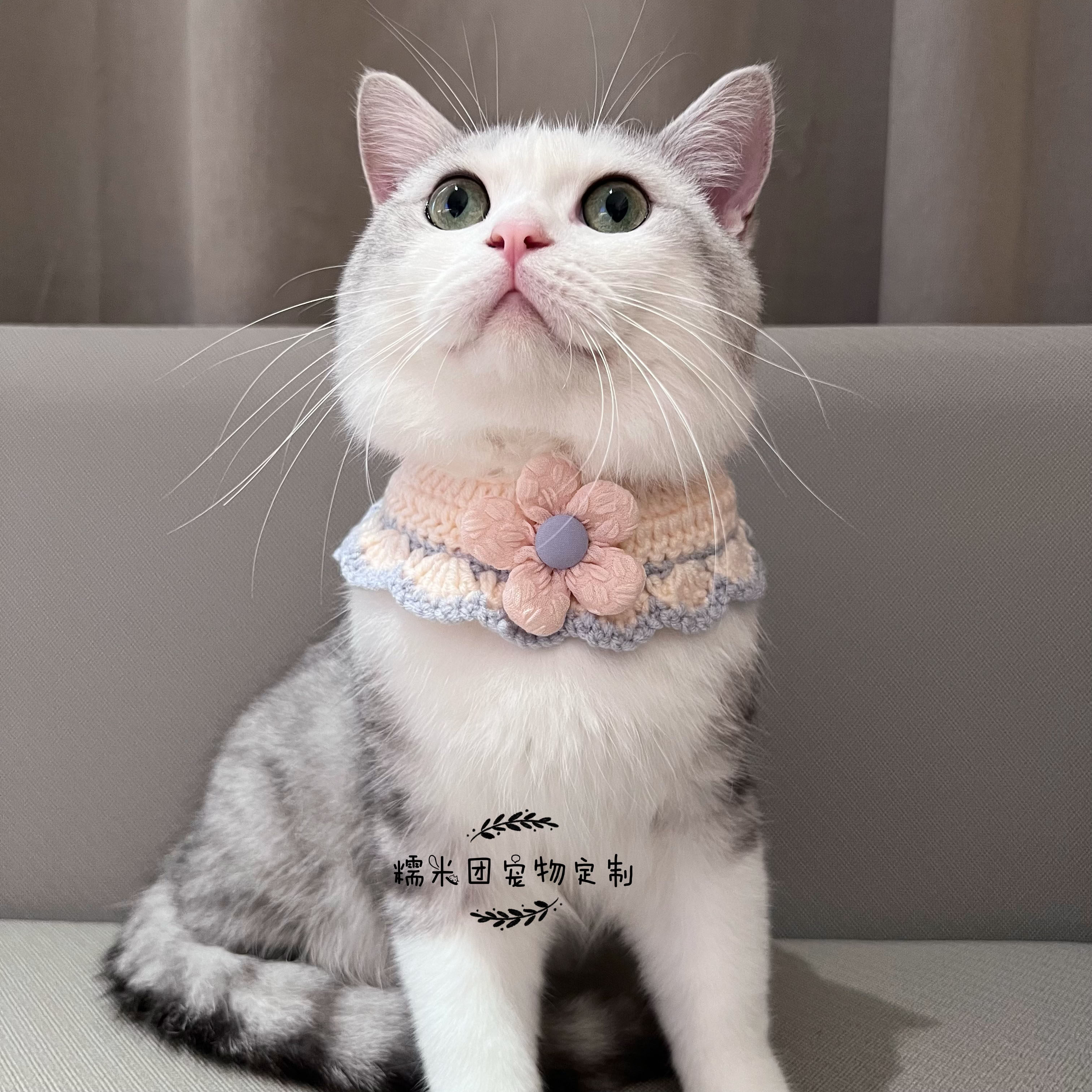 包邮成品宠物毛线围嘴猫咪春款花朵围脖泰迪金毛定制领结蝴蝶结