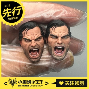 先行预定定金 6inchplus 1/12 惩罚者 可动人偶