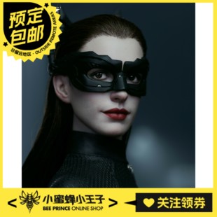 A029 猫女 预定定金 蝙蝠侠：黑暗骑士崛起 INART