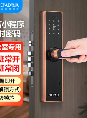 歌派（GEPAD）PT-ZWS03指纹锁智能锁指纹密码锁电子锁办公室门锁