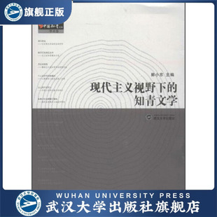 【旗舰正版 现货速发】现代主义视野下的知青文学9787307102156