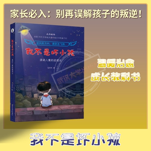 【旗舰正版 现货速发】我不是坏小孩：流动儿童的逆成长 范泽木 著 9787307199330 校园励志小说 流动儿童的青春手册