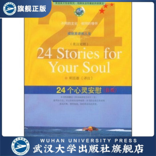 B版 24个心灵安慰 书 9787307065666 特价