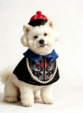 猫咪狗狗清朝官员衣服小型犬比熊泰迪博美披肩围兜口水巾配饰搞笑
