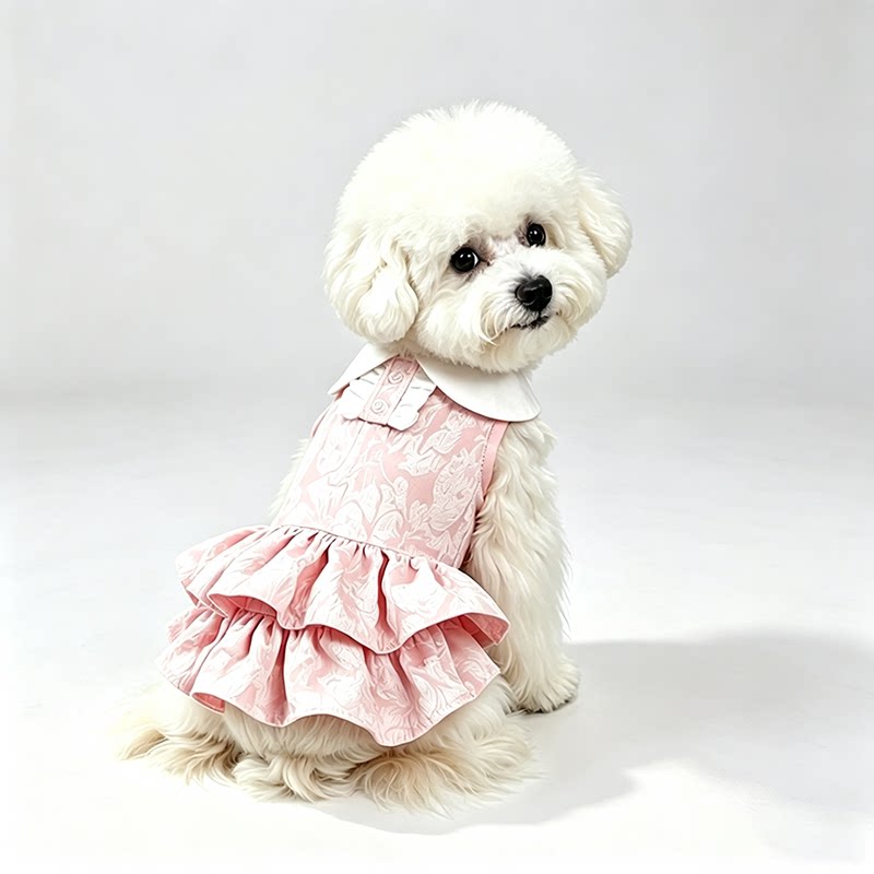 狗狗衣服宠物猫咪公主裙小型犬比熊泰迪博美贵宾蕾丝连衣裙春夏秋