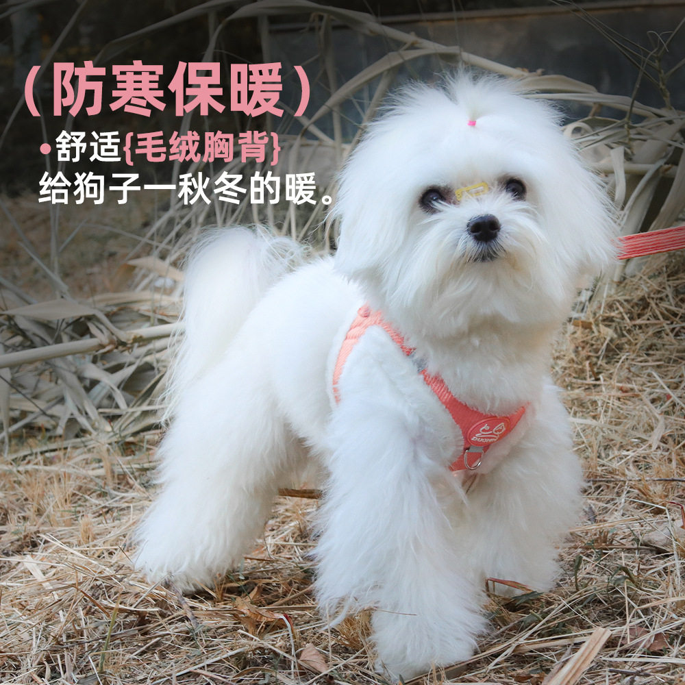 秋冬狗狗胸背防挣脱猫咪牵引绳背心式狗胸背反光背带宠物保暖衣服