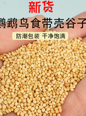 鸟粮新黄谷子中小型鹦鹉饲料食虎皮玄凤牡丹带壳小米食物粮食包邮