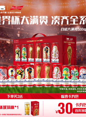 世界杯红罐FIFA大满贯500ml*12听