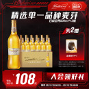 包邮 12大瓶装 家庭团圆聚会小酌 百威啤酒金尊啤酒500ml Budweiser