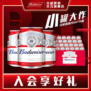 24罐装 包邮 官方 Budweiser 百威啤酒迷你255ml