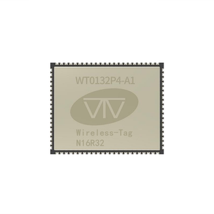 RISC MCU 核心板 单核LP 双核HP N16R32 WT0132P4 ESP32