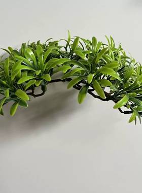 仿真罗汉松松枝盆栽插花