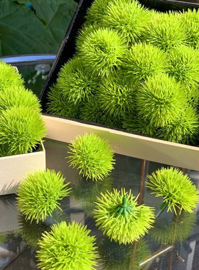 仿真绿毛球水果礼盒摆盘装饰