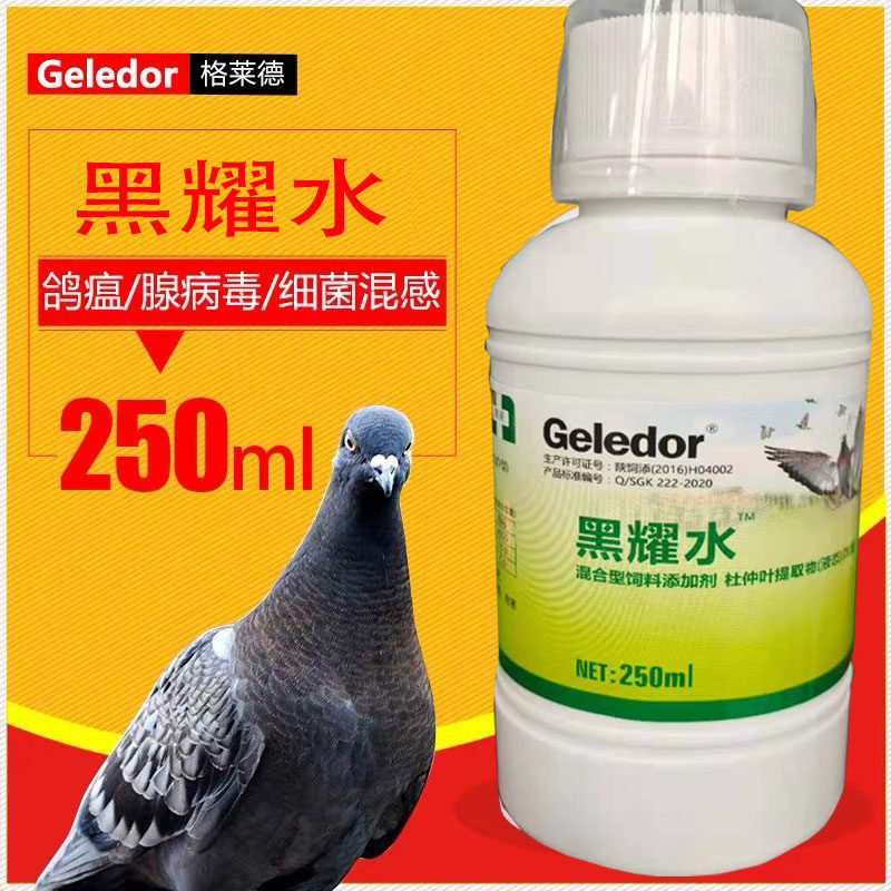 格莱德鸽药黑耀水信鸽用品赛鸽抗病毒鸽痘流行感冒鸽瘟黑药水肠炎