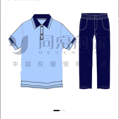 两天发货【丹阳市新桥初级中学】同桌的你夏季运动装短袖裤子班服