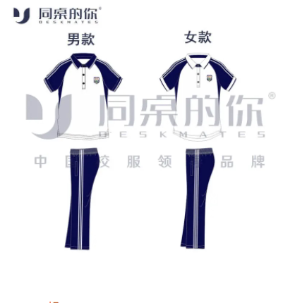 现货【江苏省宝应中学】夏季运动装校服中学生套装男女班服短袖