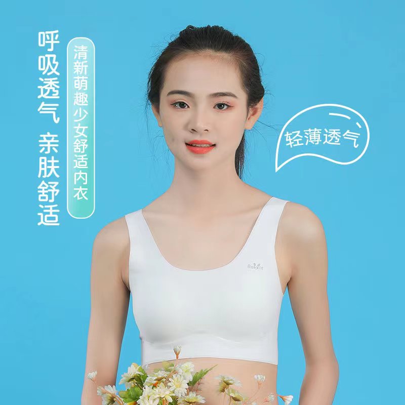 立黛美冰丝吸汗初中学生少女文胸