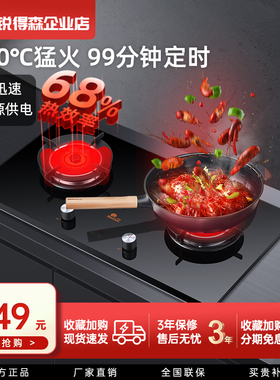 红日EM608B红外燃气灶嵌入式天然气液化气双灶台式定时家用煤气灶