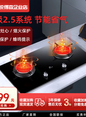 红日红外线燃气灶双灶嵌入式台式家用节能猛火灶天然气炉灶308BP