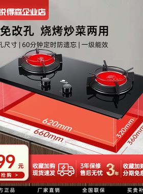 红日燃气灶双灶家用红外线灶台嵌两用小尺寸天然气炉灶定时EX16B