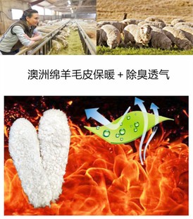 澳洲本土进口绵羊毛皮 纯正动物皮毛一体 冬季保暖御寒舒适防臭
