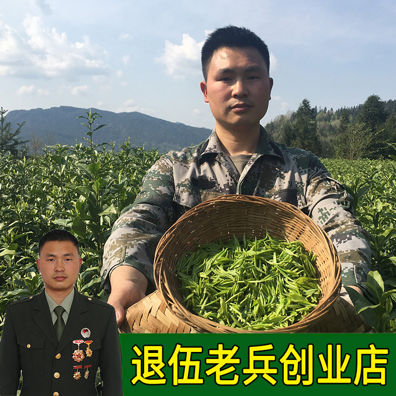 春茶原产绿茶叶恩施富硒玉露2022新茶雨前浓香型茶叶嫩芽袋装500g