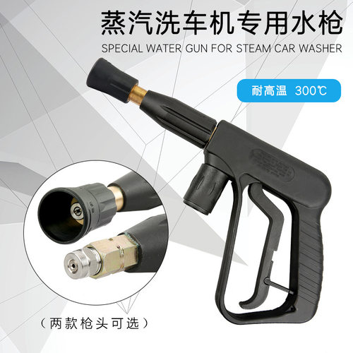 蒸汽洗车机清洗机水枪