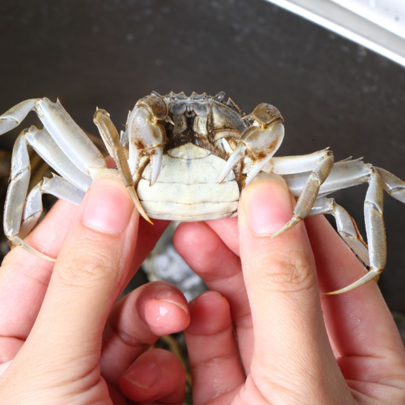 全母二元50只小螃蟹小河蟹香辣蟹