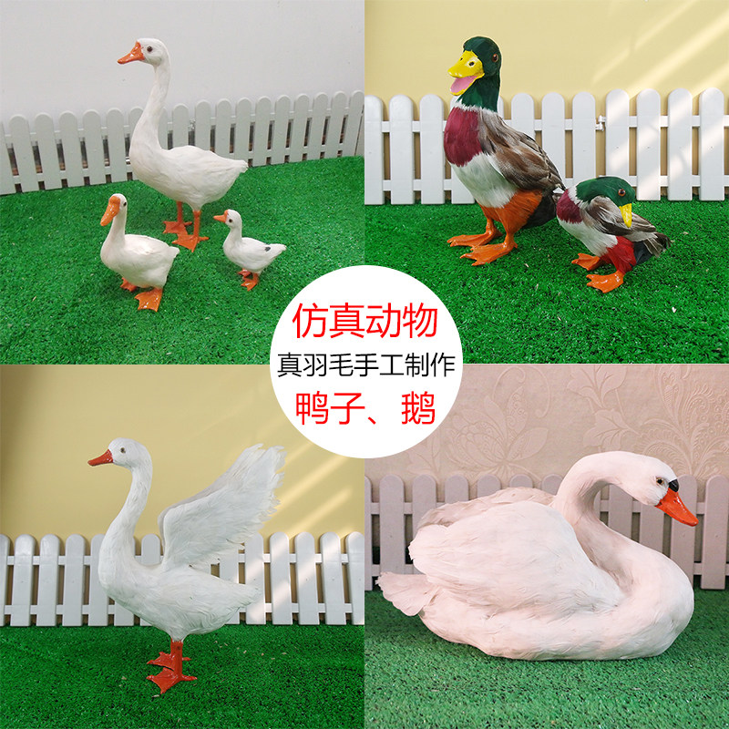 仿真鹅动物模型鸭子玩偶白鹅摆件