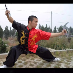 太极阴阳龙武术服表演服刺绣龙男女同款练功服长短袖团体演出比赛