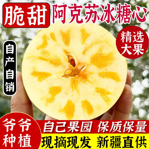 正宗阿克苏冰糖心苹果现摘现发