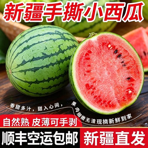 新疆火洲小西瓜吐鲁番火焰山脚下