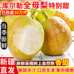 正宗新疆库尔勒香梨全母梨子新鲜水果孕妇梨子小香梨整箱10斤包邮