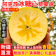 阿克苏冰糖心苹果新疆正品 包邮 当季 新鲜水果丑苹果红富士整箱顺丰