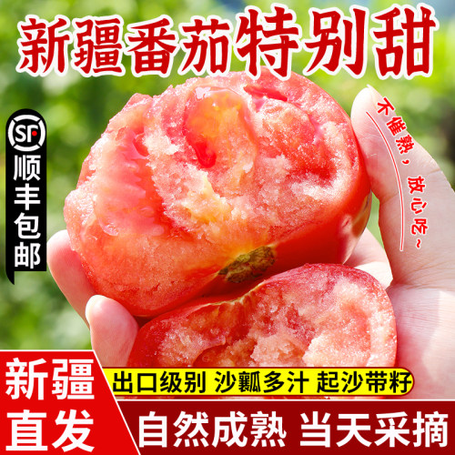 新疆沙瓤西红柿应季新鲜生吃