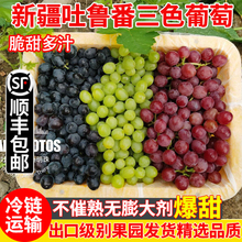 新疆葡萄新鲜当季水果三拼吐鲁番无核白无籽三色葡萄整箱顺丰包邮