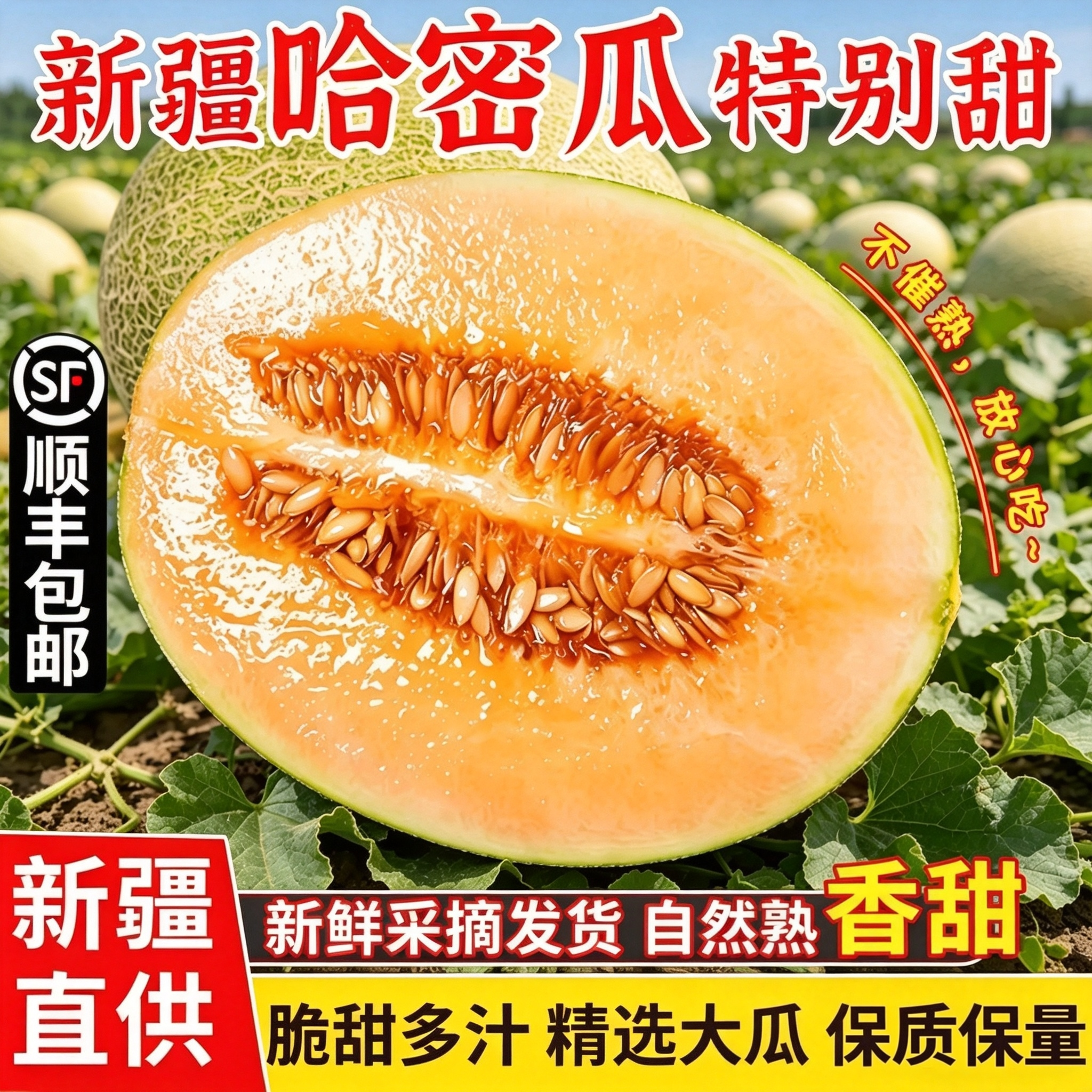 正宗新疆哈密瓜新鲜一箱吐鲁番西州蜜25号应当季现摘蜜瓜整箱包邮