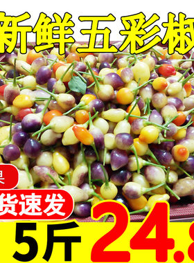 5斤广西七彩椒新鲜五色当季珍珠