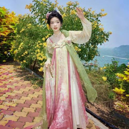 超仙拍照汉服出租唐齐胸刺绣褶裙