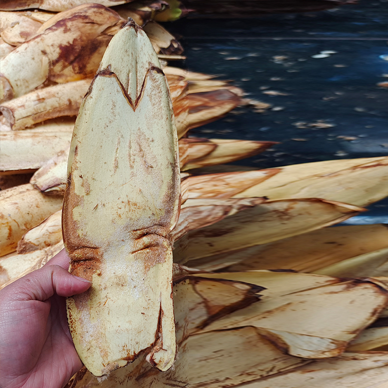 云南特产野生新鲜棕包米棕苞树花笋棕带壳棕榈绿色农产品500g包邮